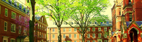 Campus recruiting: What to do when a company breaks “school rules”