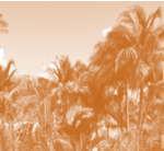 what you should consider when choosing a summer internship