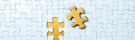 What does fit mean in the job search and interview process?